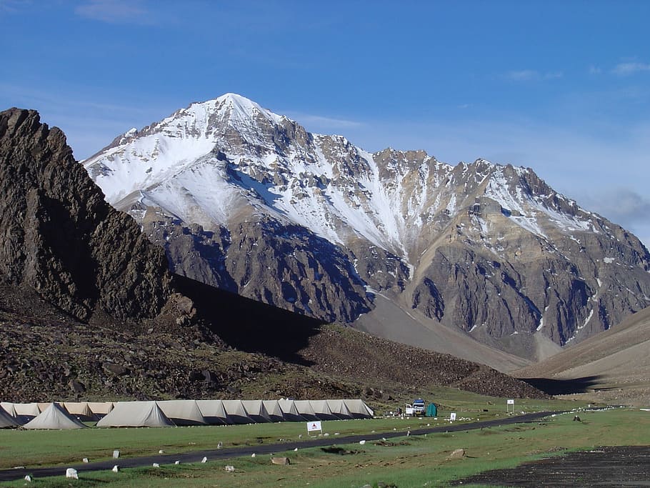 Observing the endangered Himalayan wildlife in Ladakh, in winters!